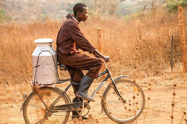 Bicycle progressive dairyman africa story.jpg