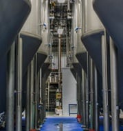 Rows of 200 BBL Fermenters in a Brewery